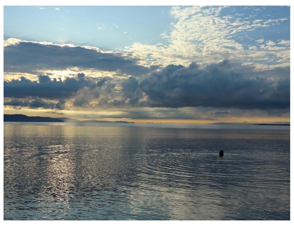 Отель Terrazas Del Golfo La Palma Экстерьер фото